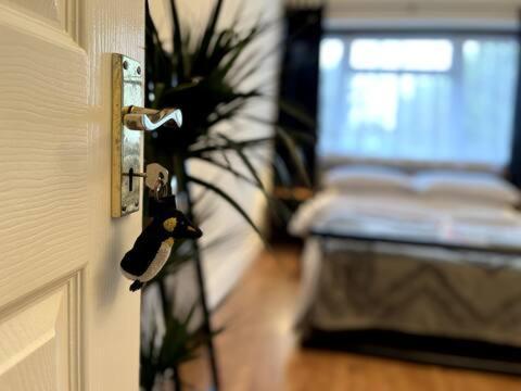 Hotel Fourwinds Maldon Zewnętrze zdjęcie